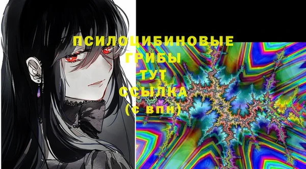 дживик Карпинск