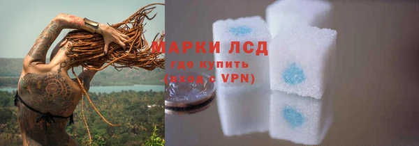 дживик Карпинск