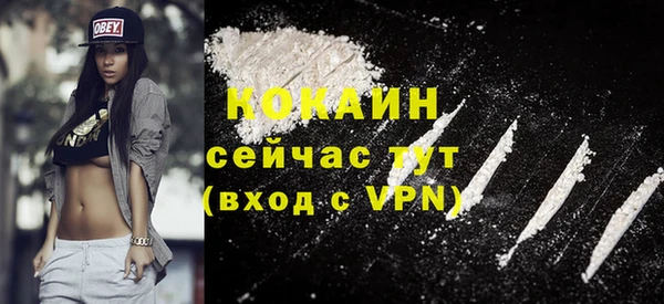 дурь Инта
