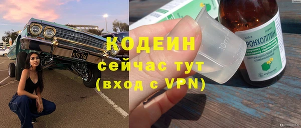 сатива Каменногорск