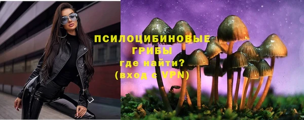 винт Касимов