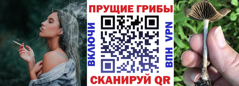 MEGA рабочий сайт  Уссурийск  Псилоцибиновые грибы мицелий 