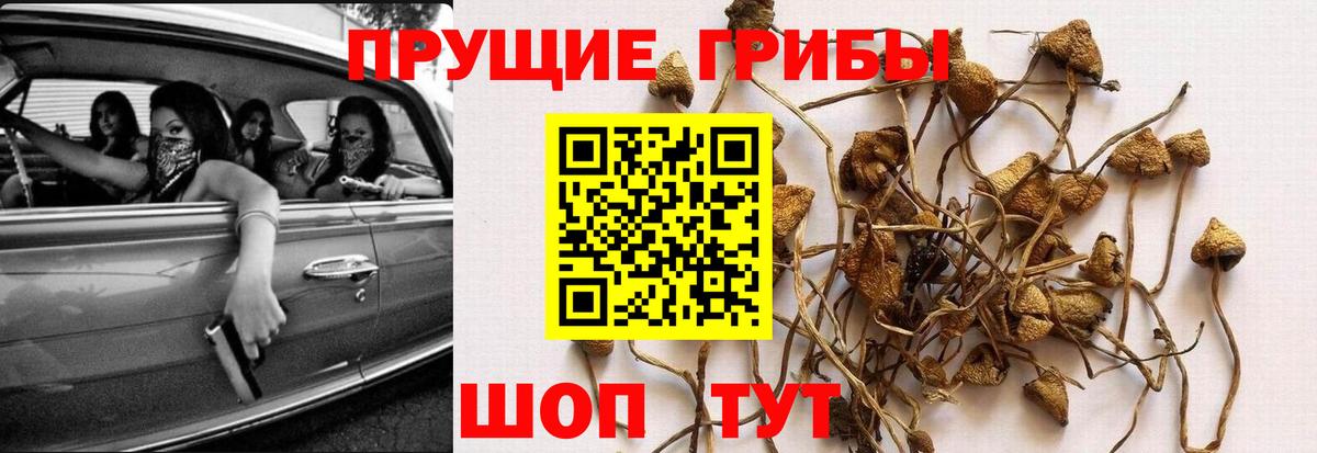 Уссурийск  как найти закладки  Вход с VPN  Галлюциногенные грибы прущие грибы 